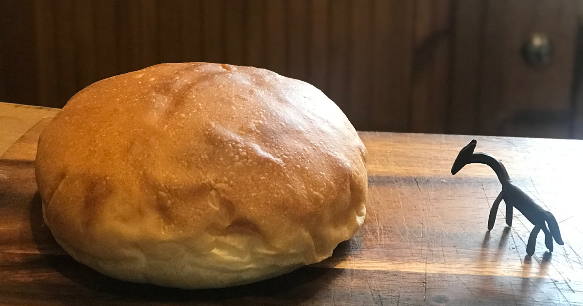 古代小麦１００％スペルトの当店看板商品のフワリちゃん。